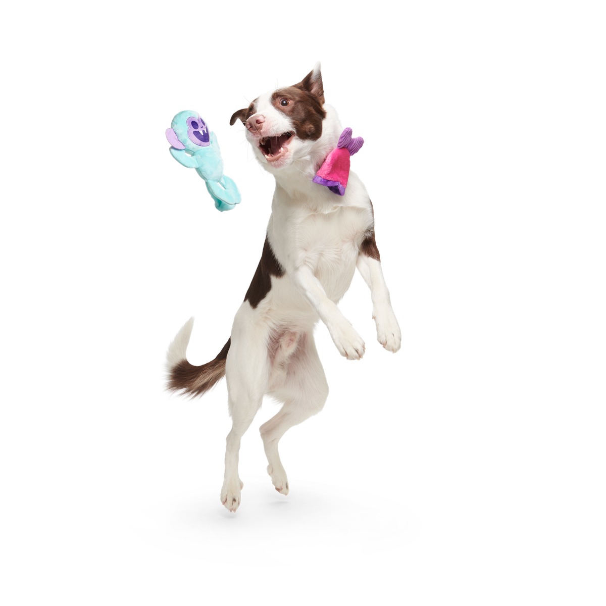 Gigi the Fiji Mermaid Plush Multi-Part + Enrichment Dog Toy - Image 3