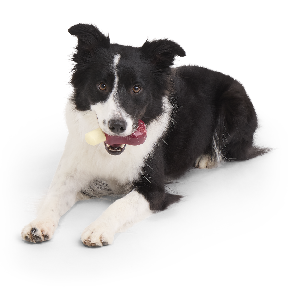 Porkchomp Super Chewer Durable Gnaw Dog Toy - Image 3