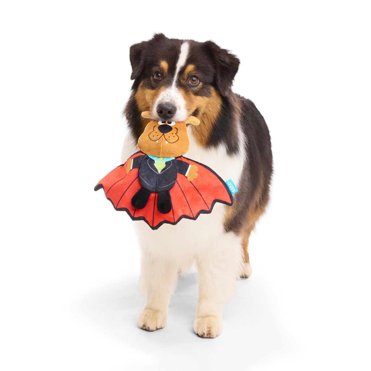 Count Scooby-Dooby-Doo™ Plush Tug Dog Toy - Image 2