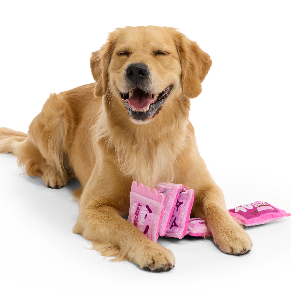 Puppy Love Coupons Plush Tug Dog Toy - Image 4