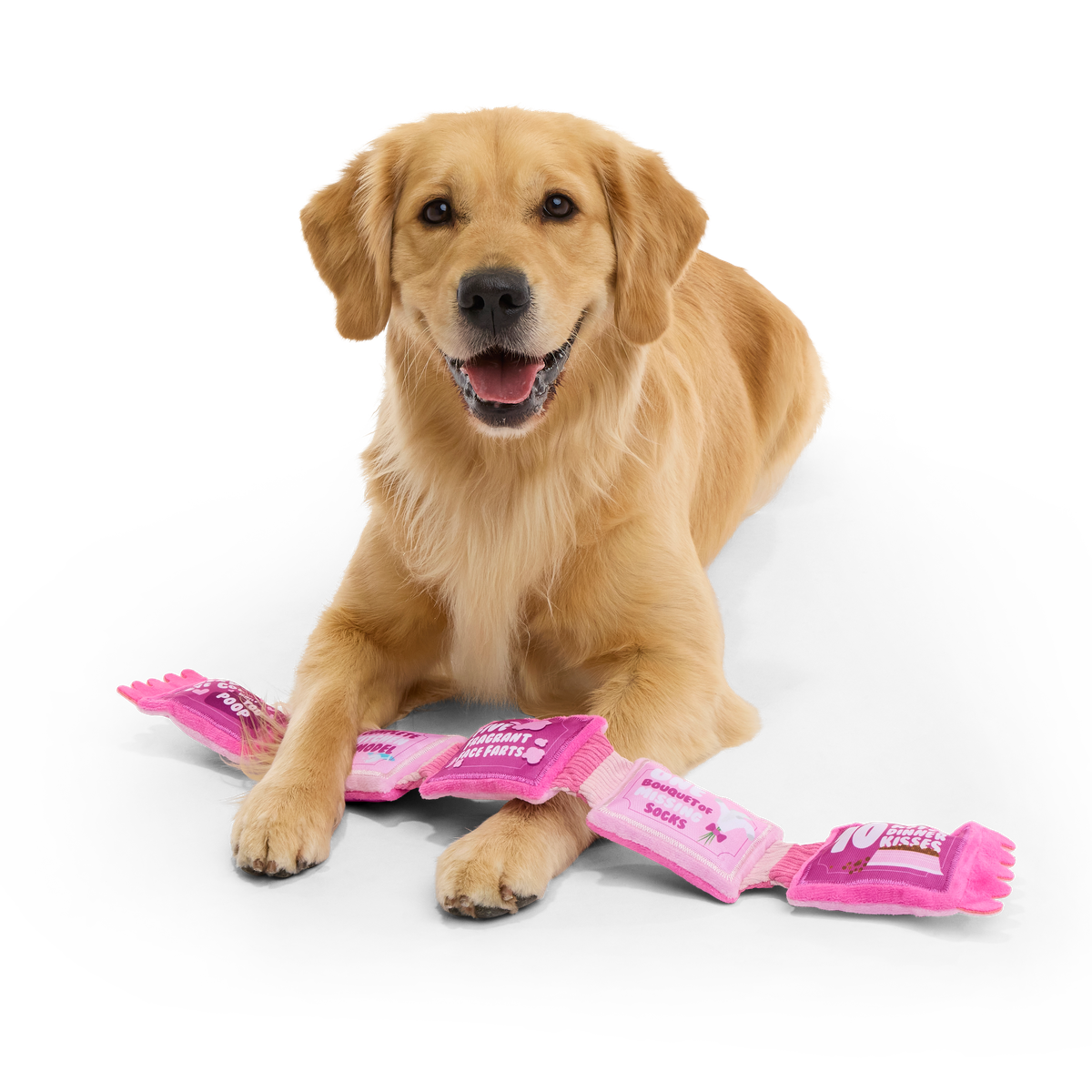 Puppy Love Coupons Plush Tug Dog Toy - Image 2