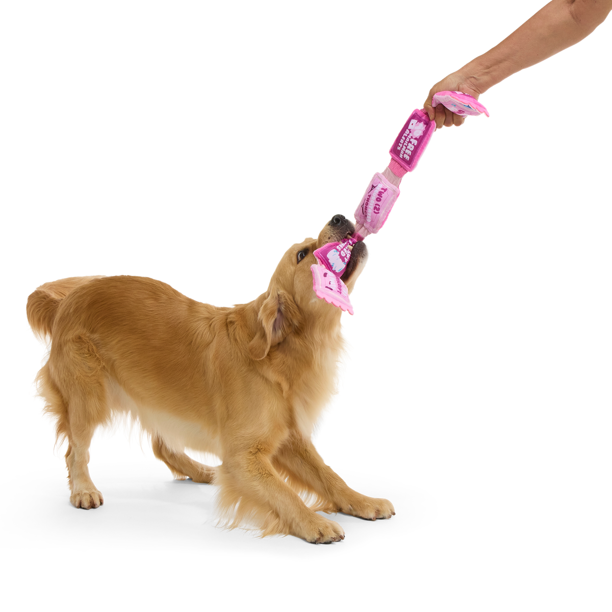 Puppy Love Coupons Plush Tug Dog Toy - Image 3
