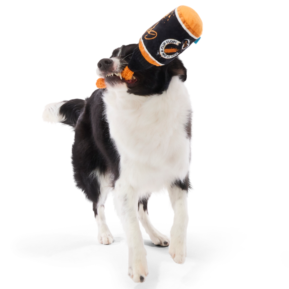 Famous Doggy Sauce Plush Tug Dog Toy - Image 3