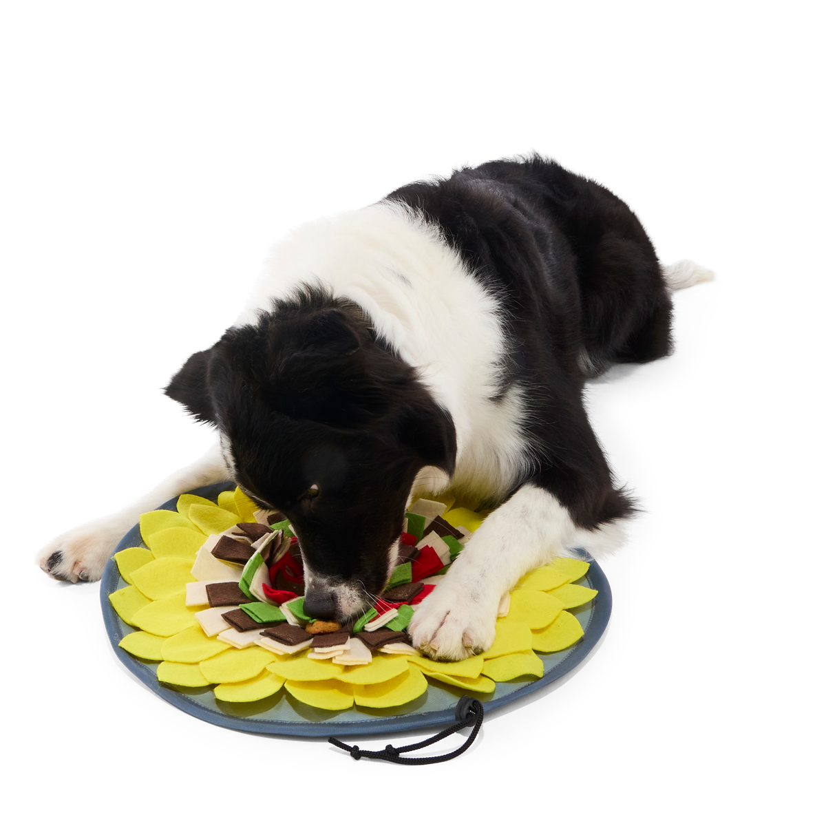 Nacho Dog's Snuffle Mat Plush Enrichment Dog Toy - Image 2