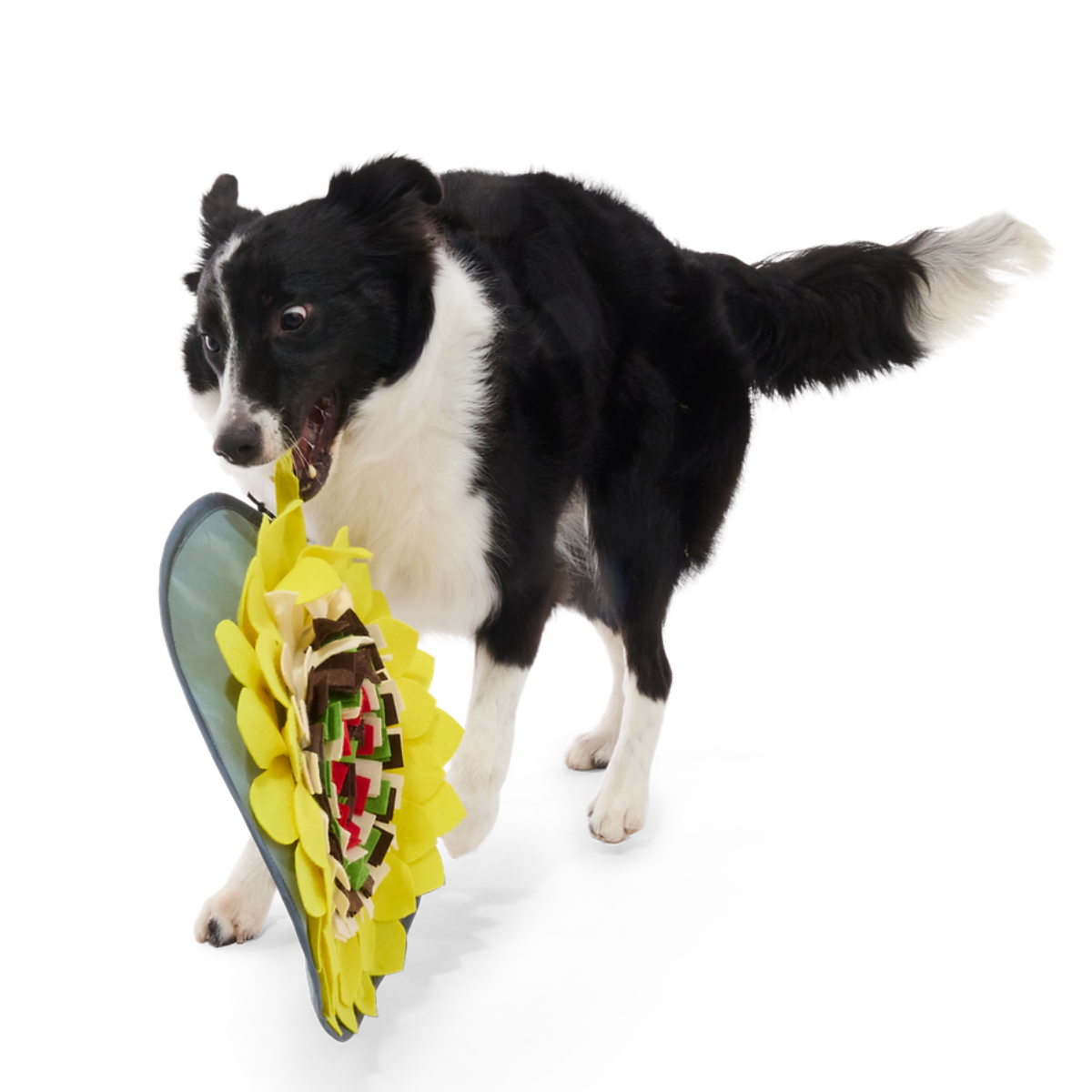 Nacho Dog's Snuffle Mat Plush Enrichment Dog Toy - Image 5
