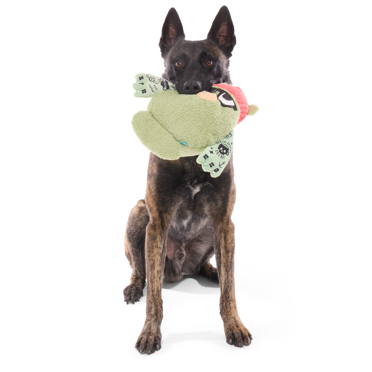 Bearista Plush Extra-Large + Tug Dog Toy - Image 6