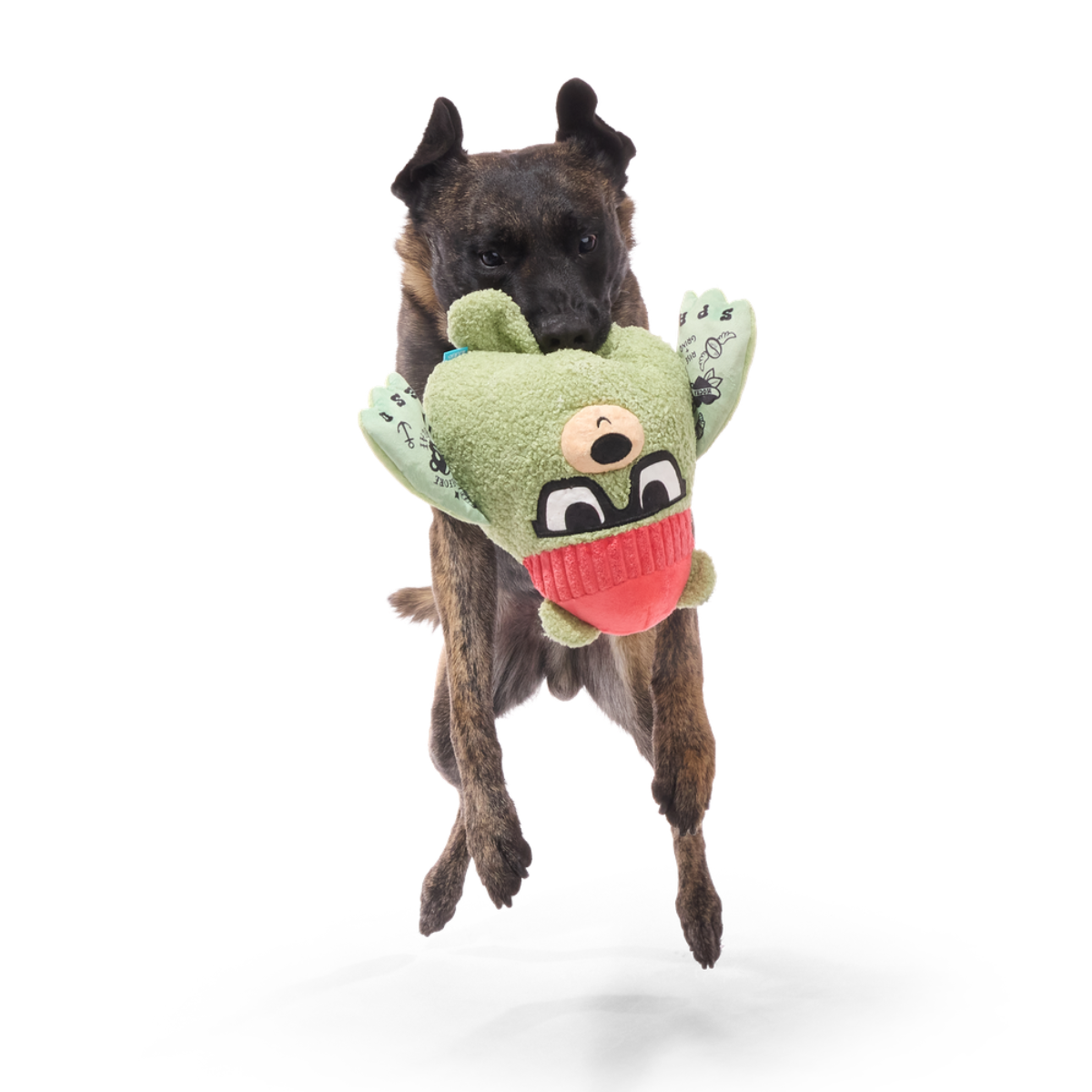 Bearista Plush Extra-Large + Tug Dog Toy - Image 3