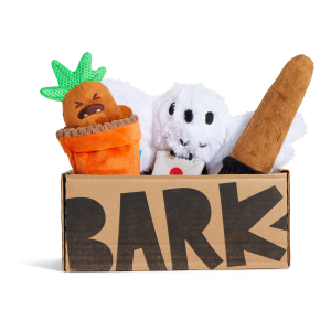 HARRY POTTER™ BarkBox - One Month Gift Box