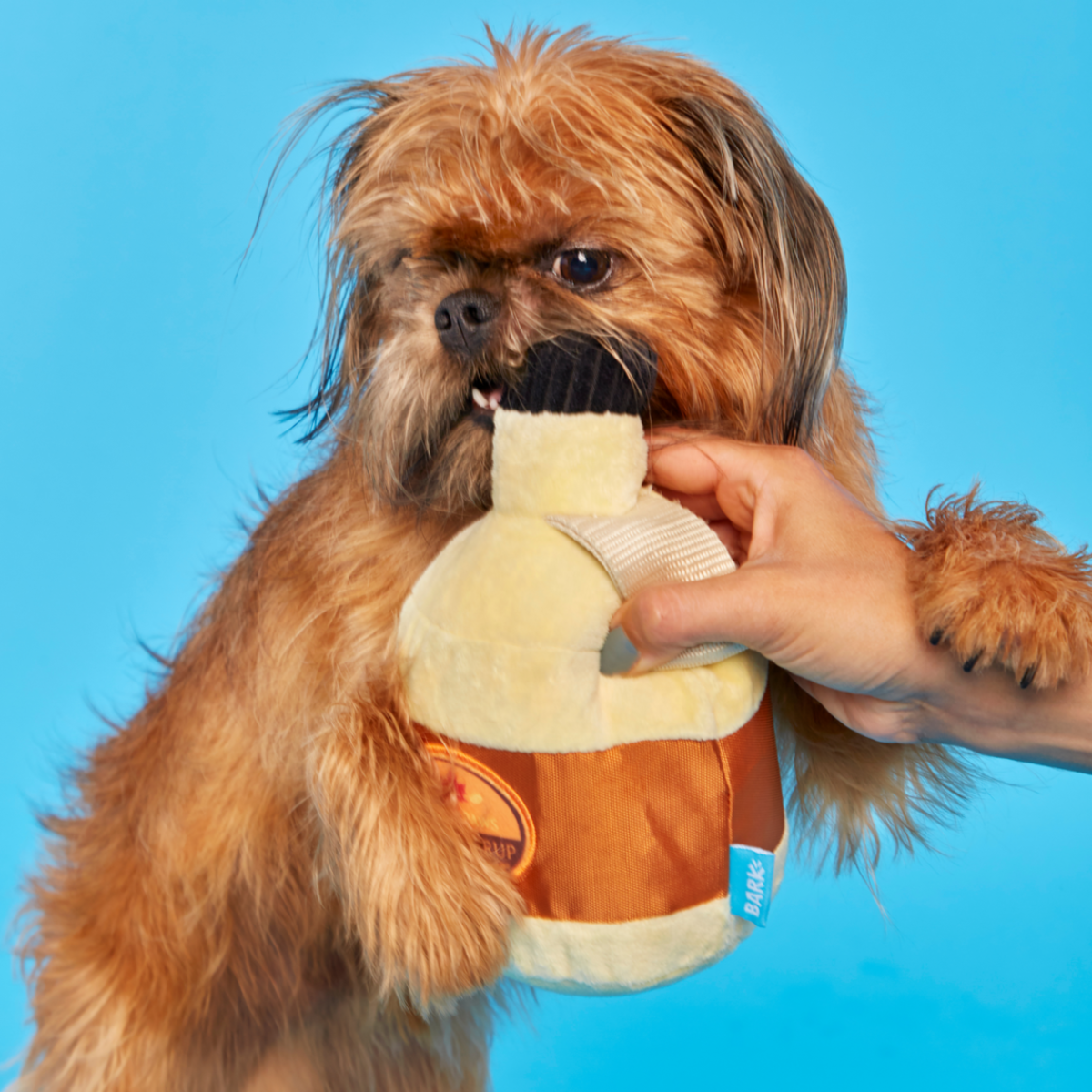 Sticky Paws Maple Syrup Plush 2-in-1 + Tug Dog Toy - Image 6