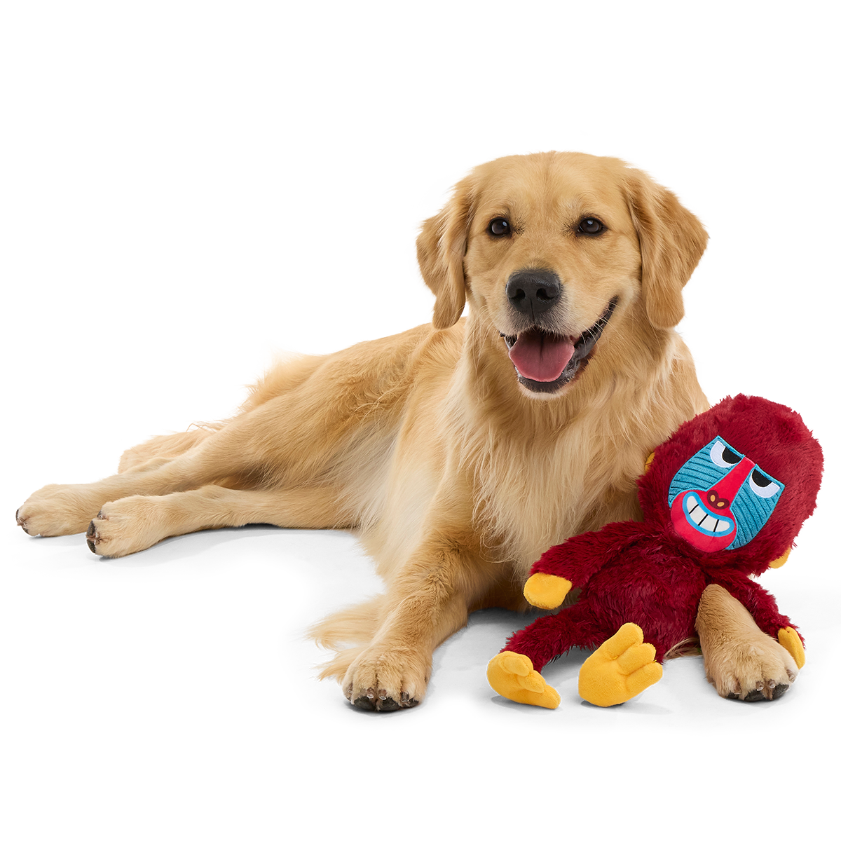 Babu Baboon Plush Extra-Large + Tug Dog Toy - Image 4