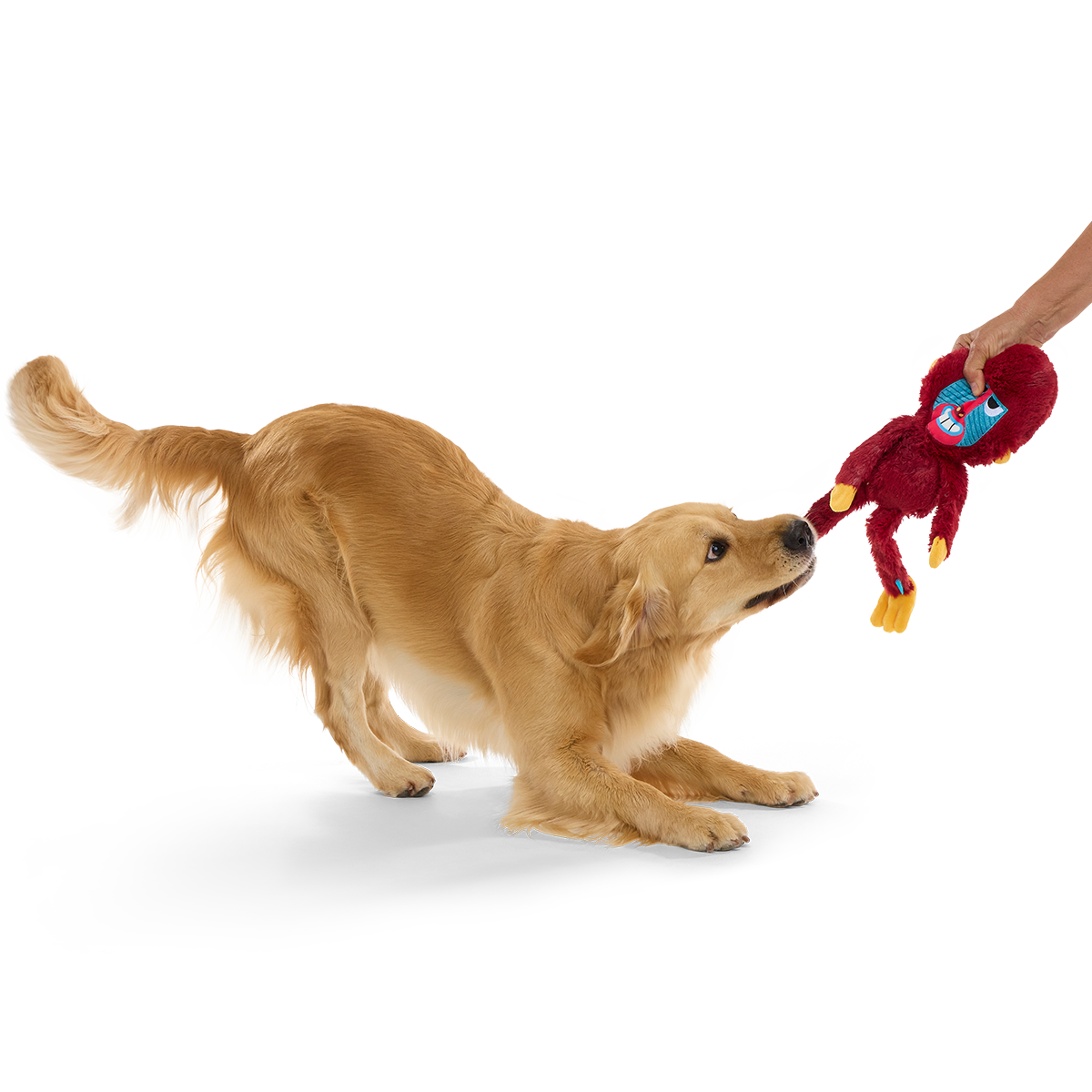 Babu Baboon Plush Extra-Large + Tug Dog Toy - Image 3