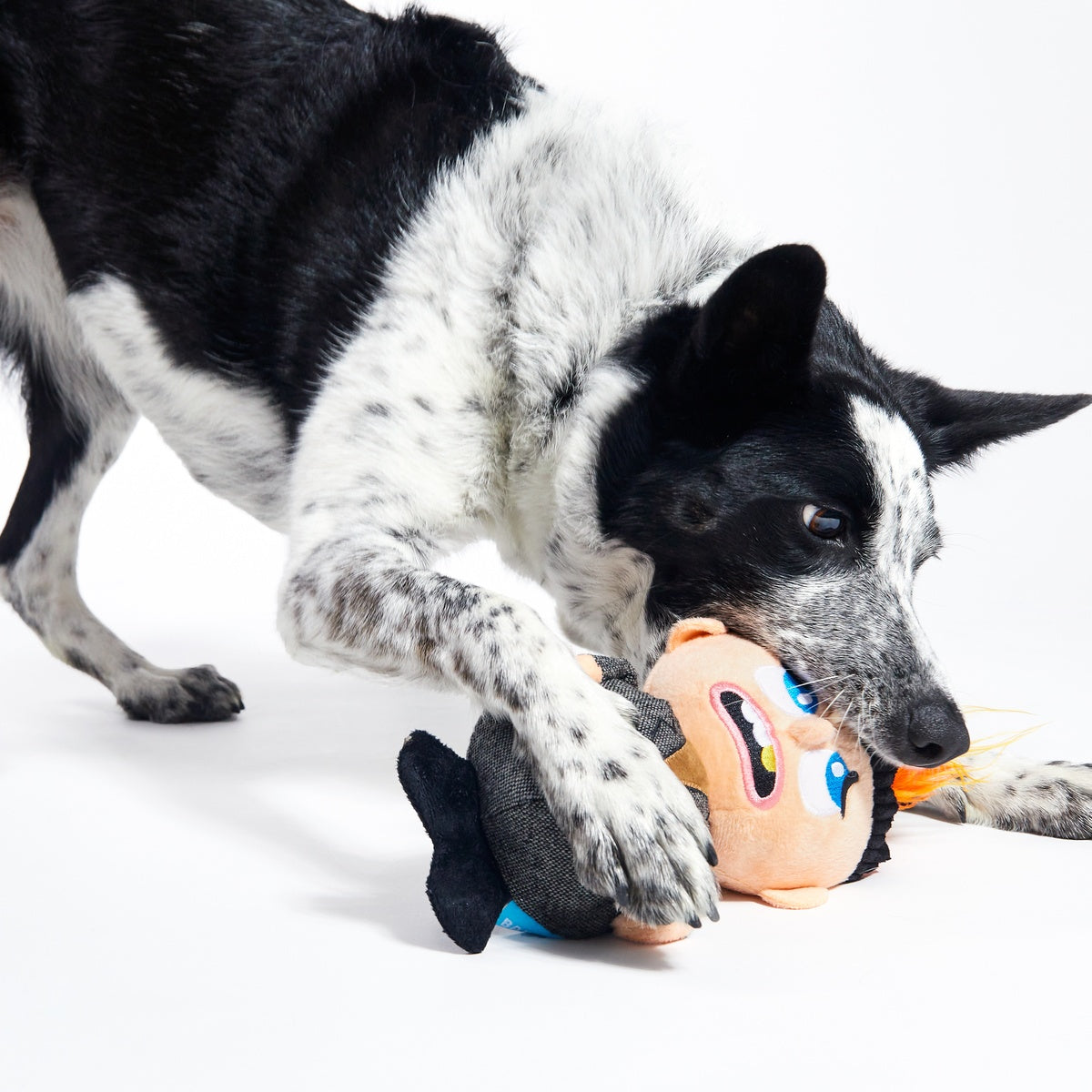 Harry Plush Dog Toy - Image 3
