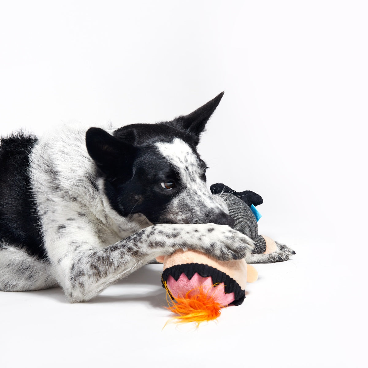 Harry Plush Dog Toy - Image 6