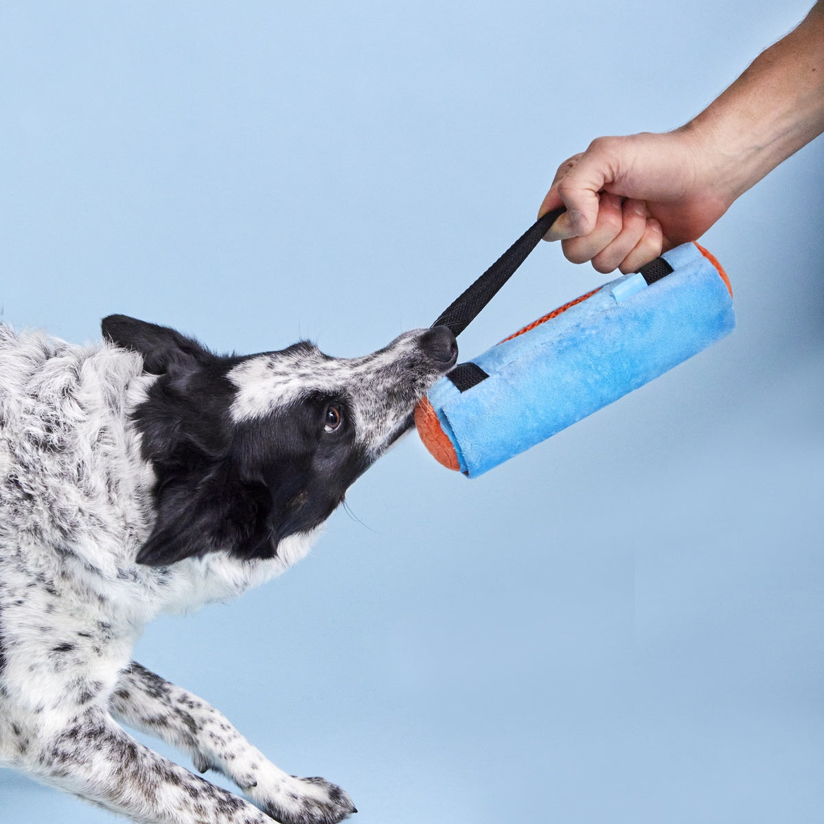 Yogrrr Mat Plush Tug + Enrichment Dog Toy - Image 4