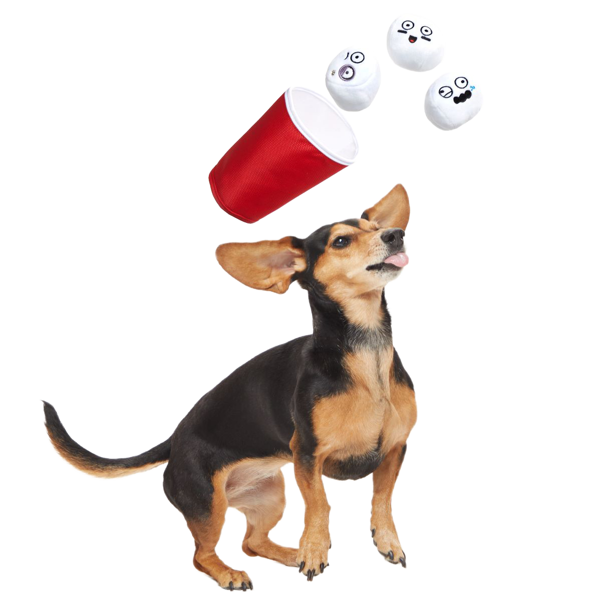 Bark Pong Cup Plush Multi-Part + Fetch Dog Toy - Image 2