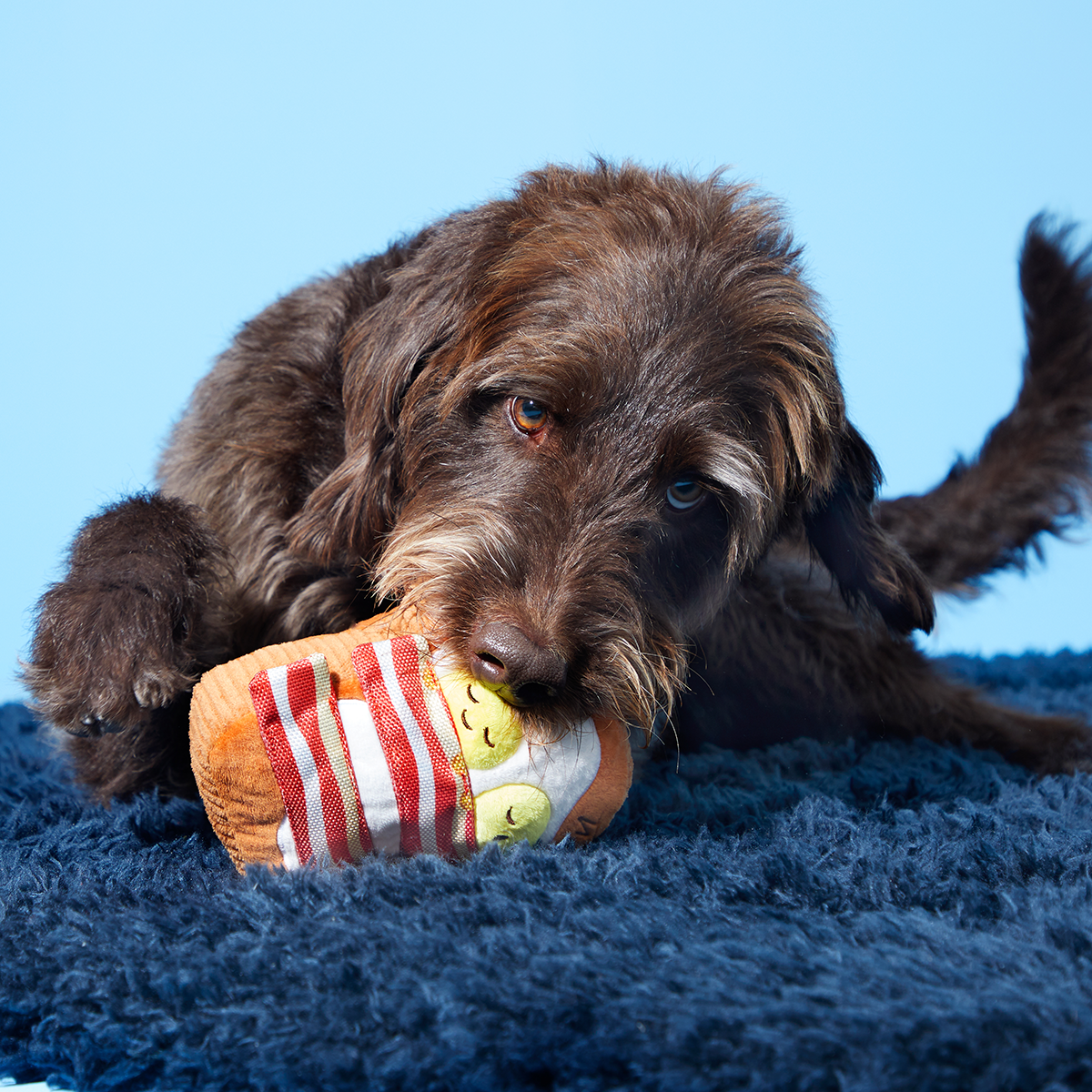 Barkfest In Bed Plush Dog Toy - Image 3