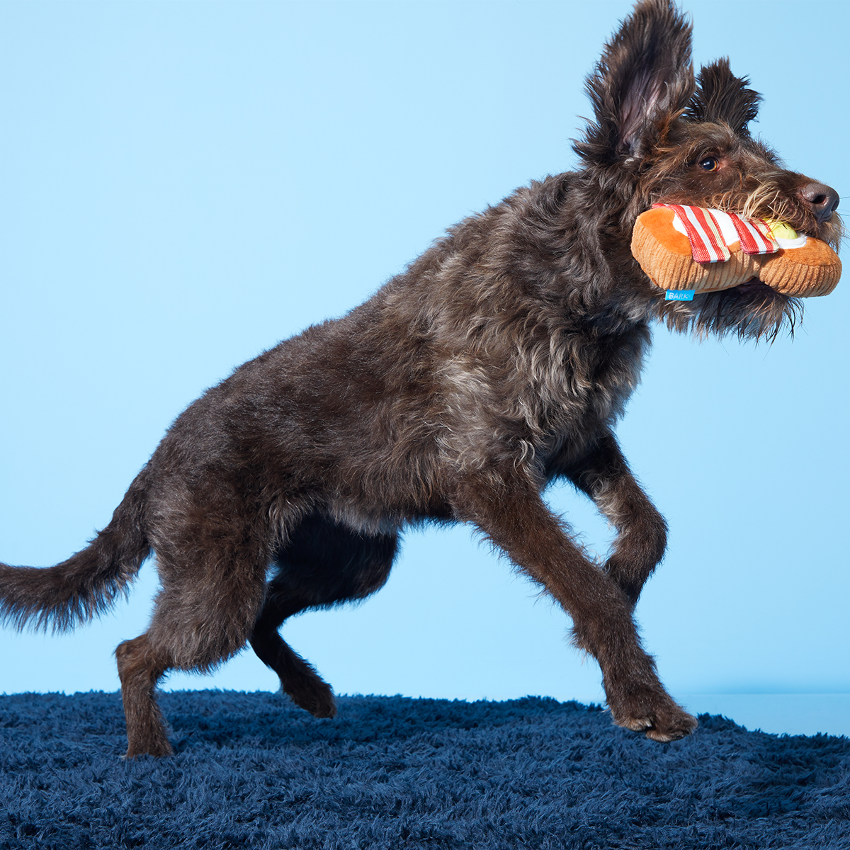 Barkfest In Bed Plush Dog Toy - Image 5