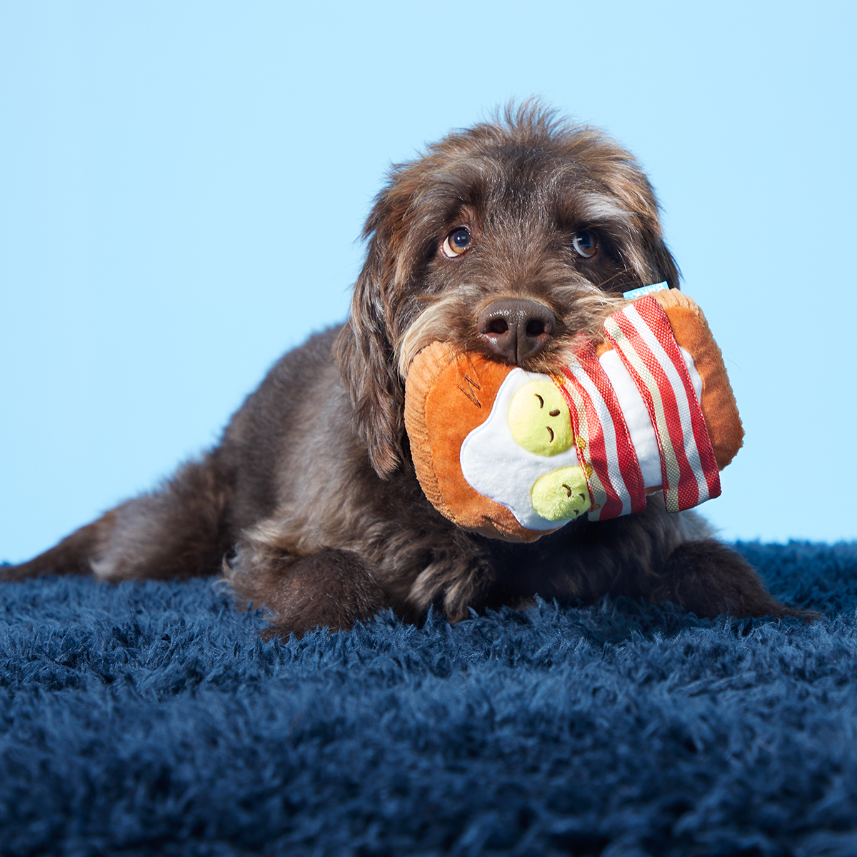 Barkfest In Bed Plush Dog Toy - Image 2