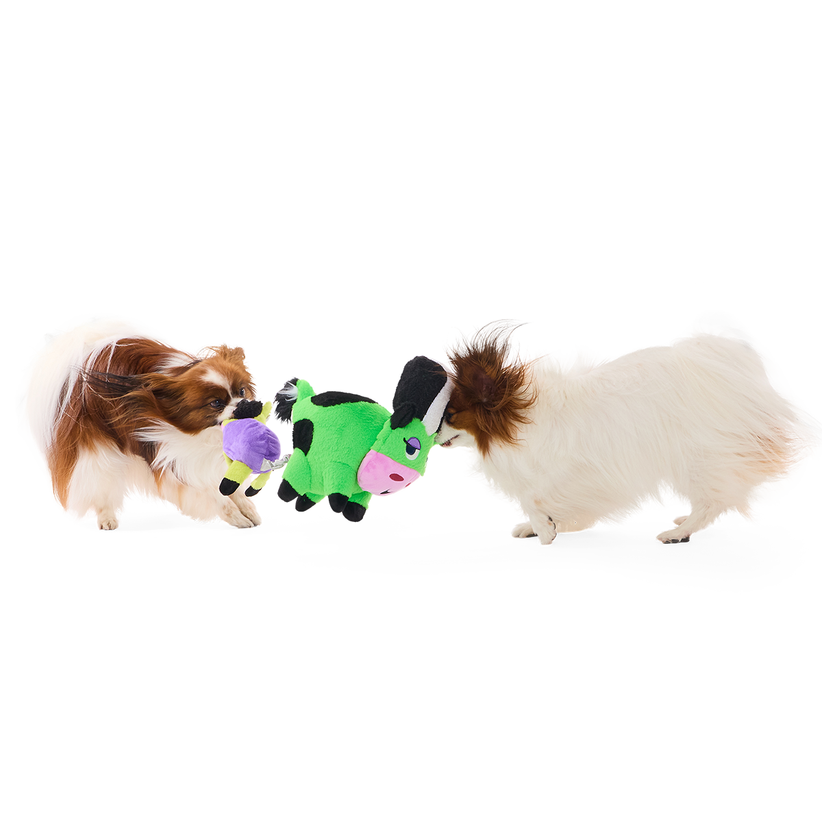 Bertha of Frankenstein Plush Extra-Large + Tug + Enrichment Dog Toy - Image 8