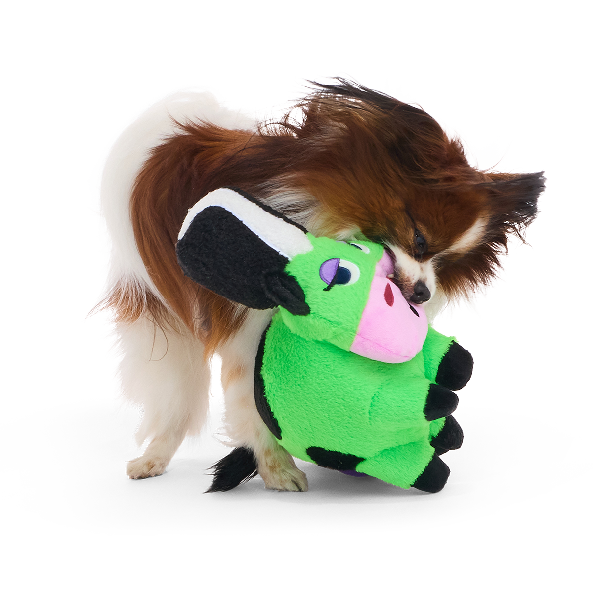 Bertha of Frankenstein Plush Extra-Large + Tug + Enrichment Dog Toy - Image 5