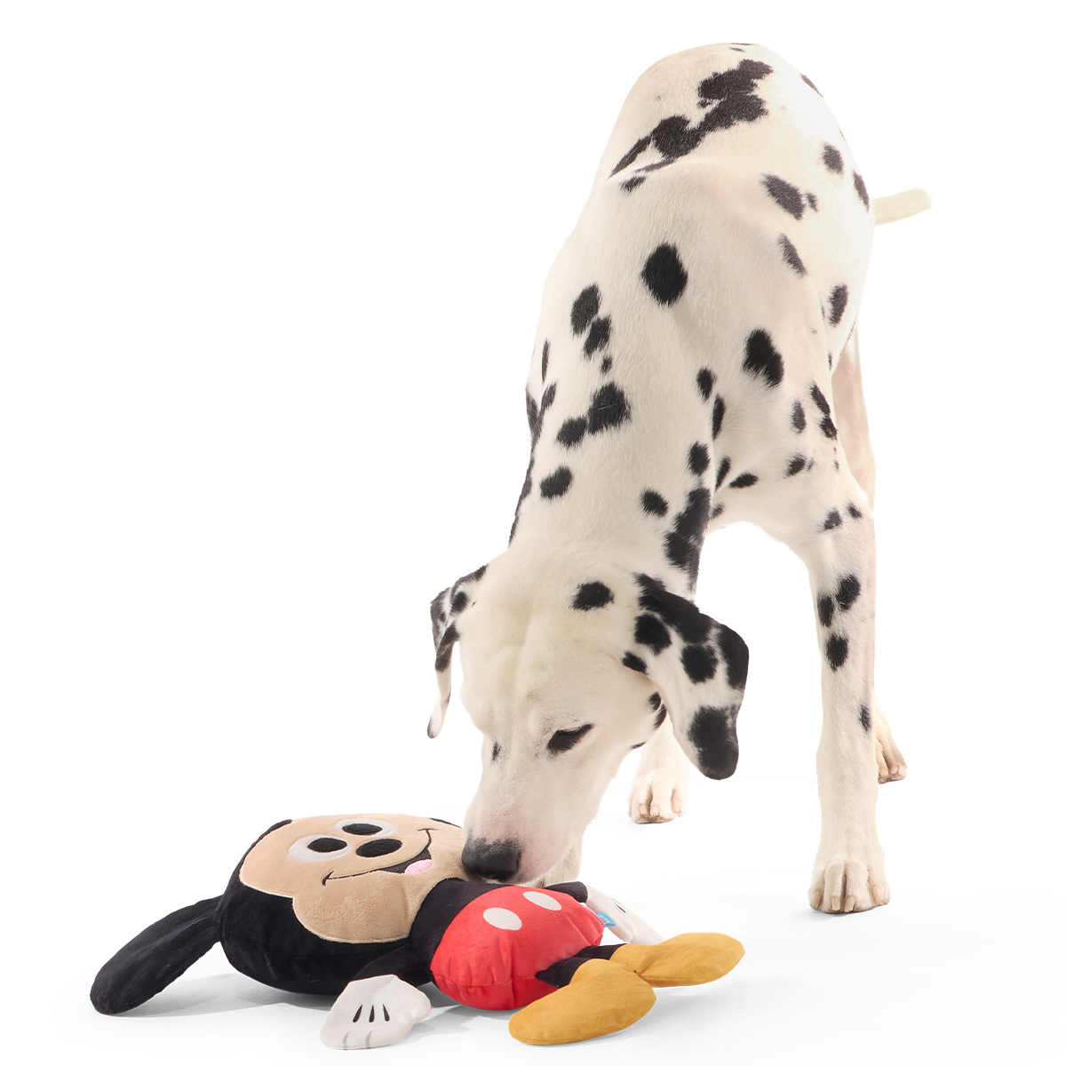 Biggest Pal Mickey Plush Extra-Large + Tug Dog Toy - Image 4