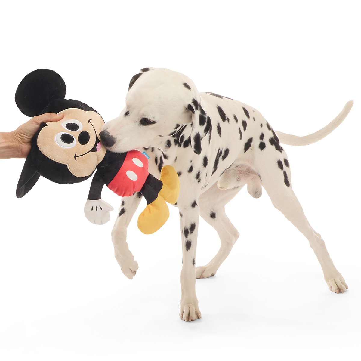 Biggest Pal Mickey Plush Extra-Large + Tug Dog Toy - Image 3