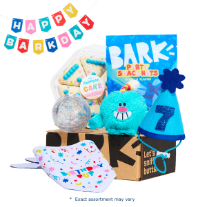 Birthday Super Chewer Gift Box