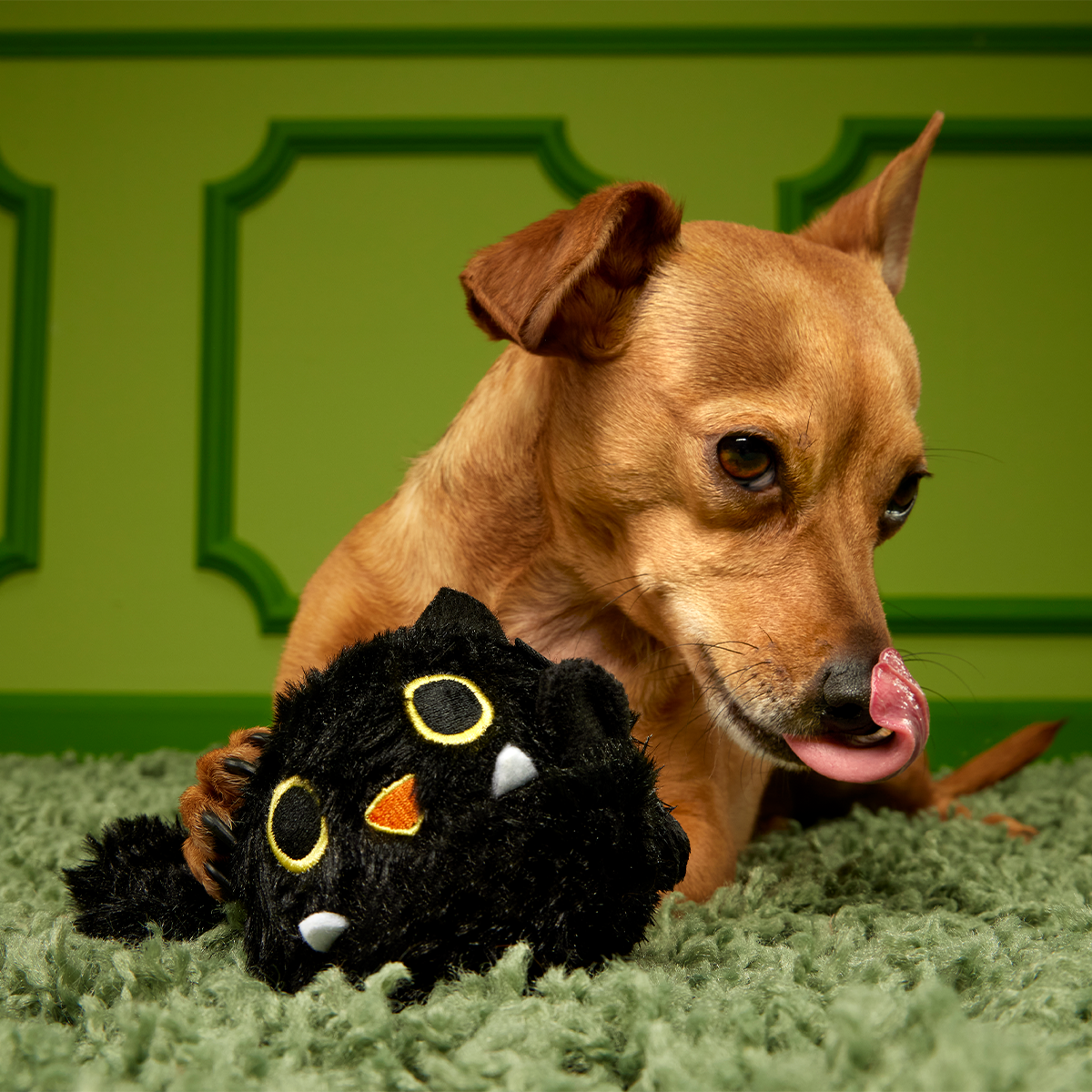 Black Alley Cat Super Chewer Durable 2-in-1 + Tug + Fetch Dog Toy - Image 4