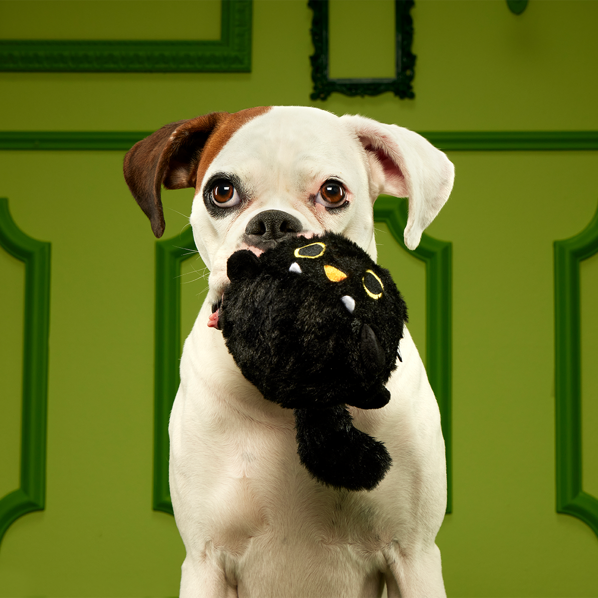 Black Alley Cat Super Chewer Durable 2-in-1 + Tug + Fetch Dog Toy - Image 6