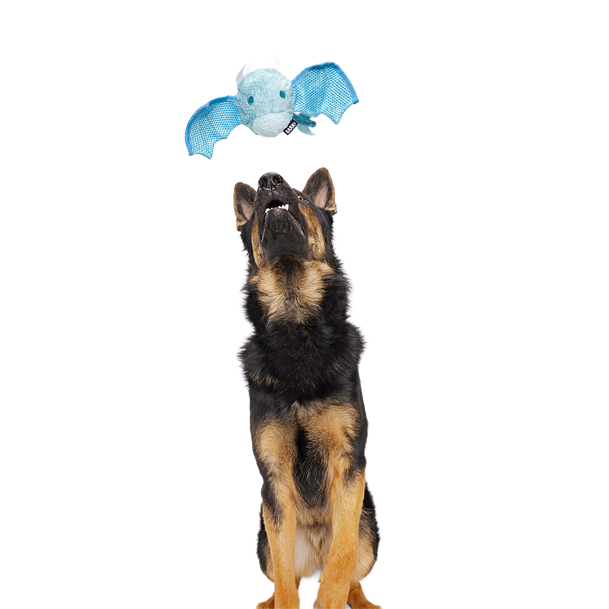 Brrrtha The Dragon Super Chewer Durable 2-in-1 + Tug + Fetch Dog Toy - Image 6