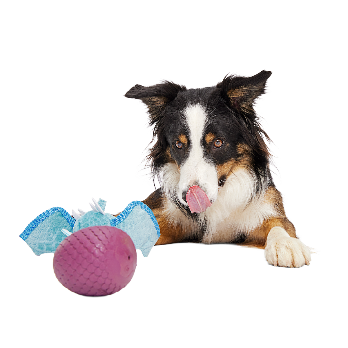Brrrtha The Dragon Super Chewer Durable 2-in-1 + Tug + Fetch Dog Toy - Image 5