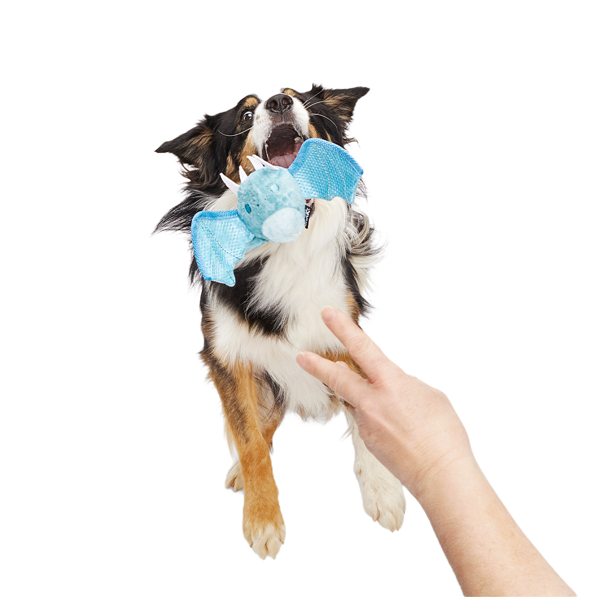 Brrrtha The Dragon Super Chewer Durable 2-in-1 + Tug + Fetch Dog Toy - Image 4