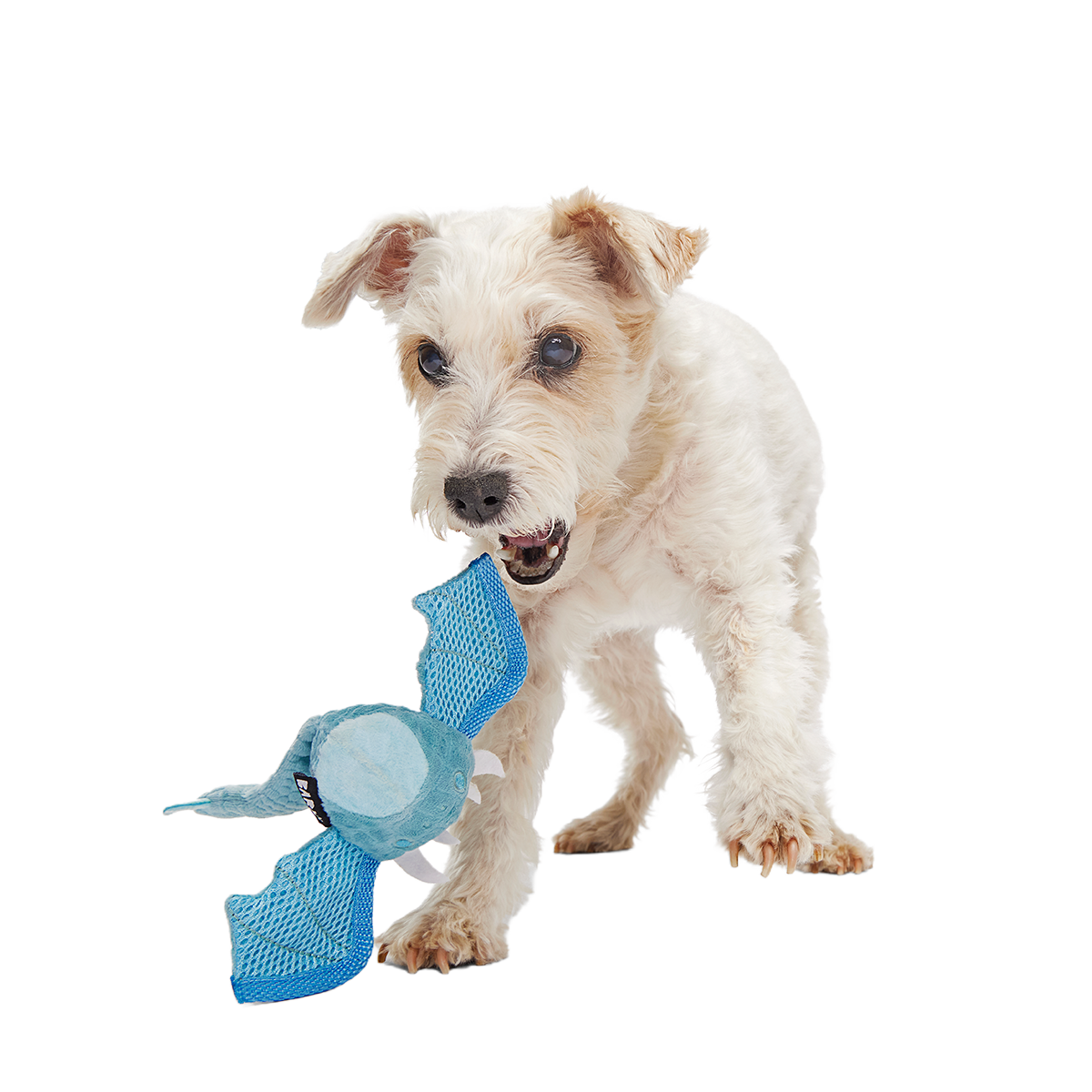 Brrrtha The Dragon Super Chewer Durable 2-in-1 + Tug + Fetch Dog Toy - Image 3