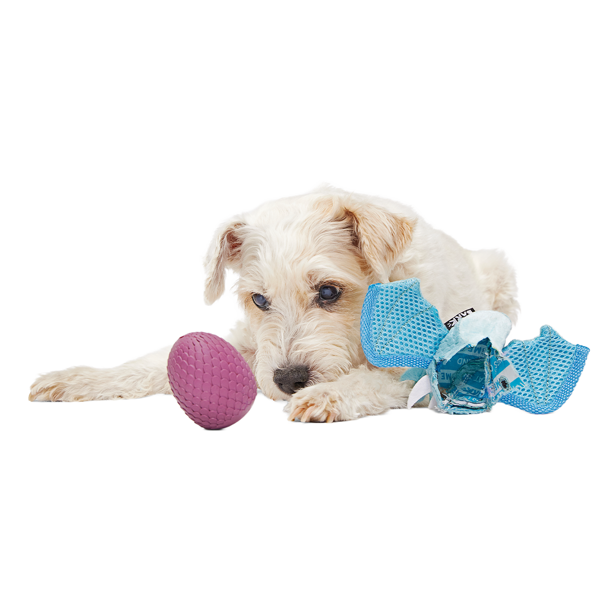 Brrrtha The Dragon Super Chewer Durable 2-in-1 + Tug + Fetch Dog Toy - Image 2