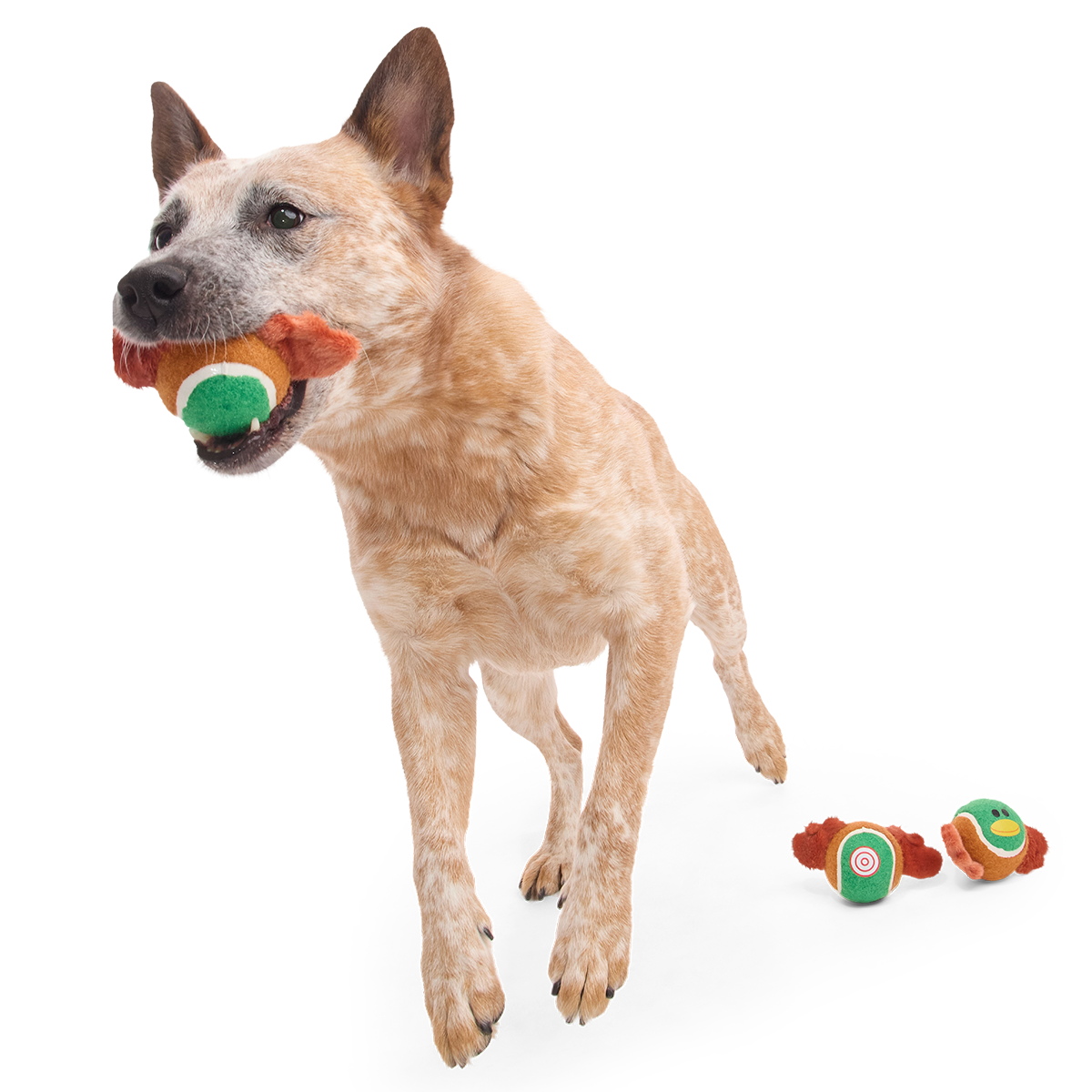 Tennis Ball Club. 3 Squeaky Monthly Tennis Ball Dog Toys - Image 4