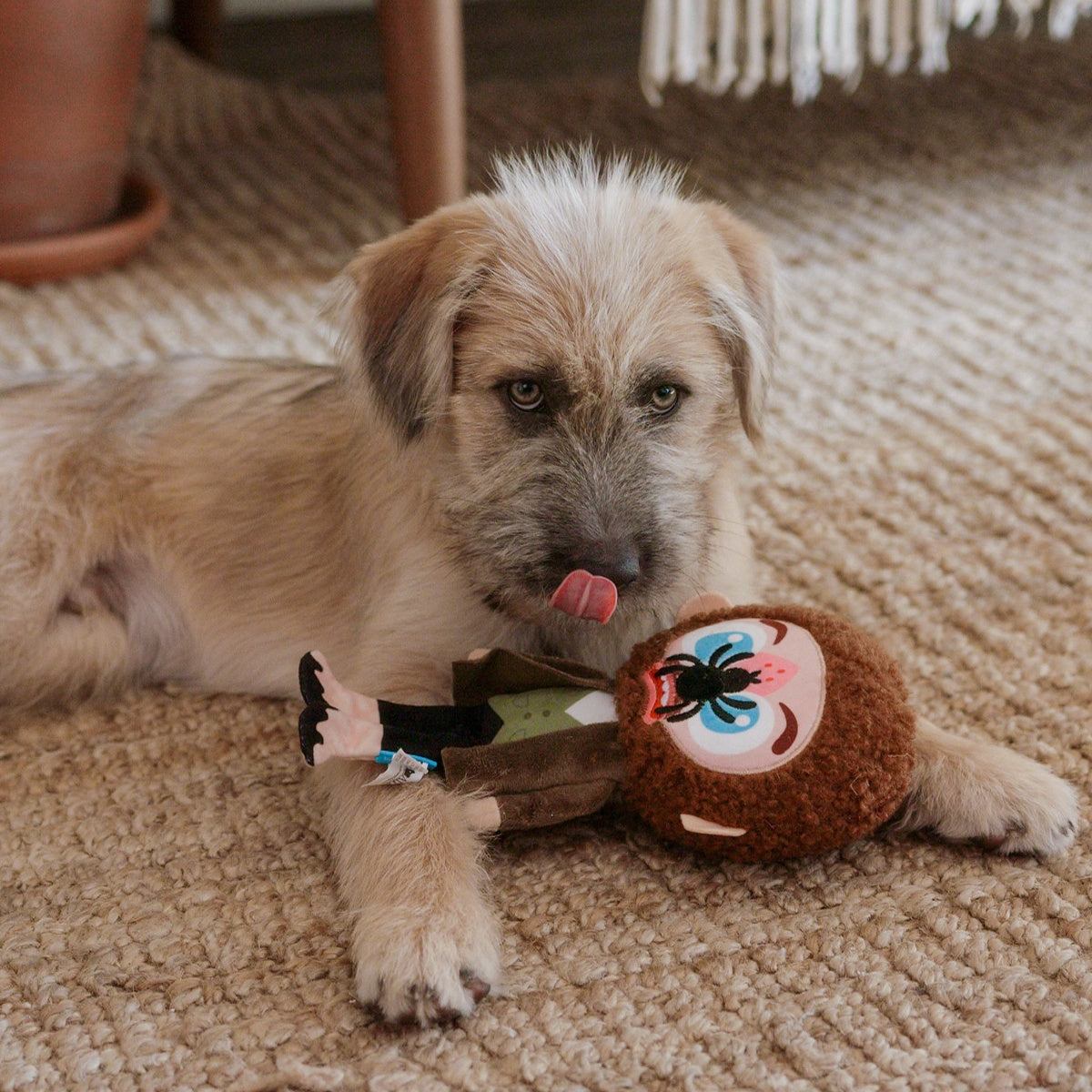 Marv Plush Tug Dog Toy - Image 7