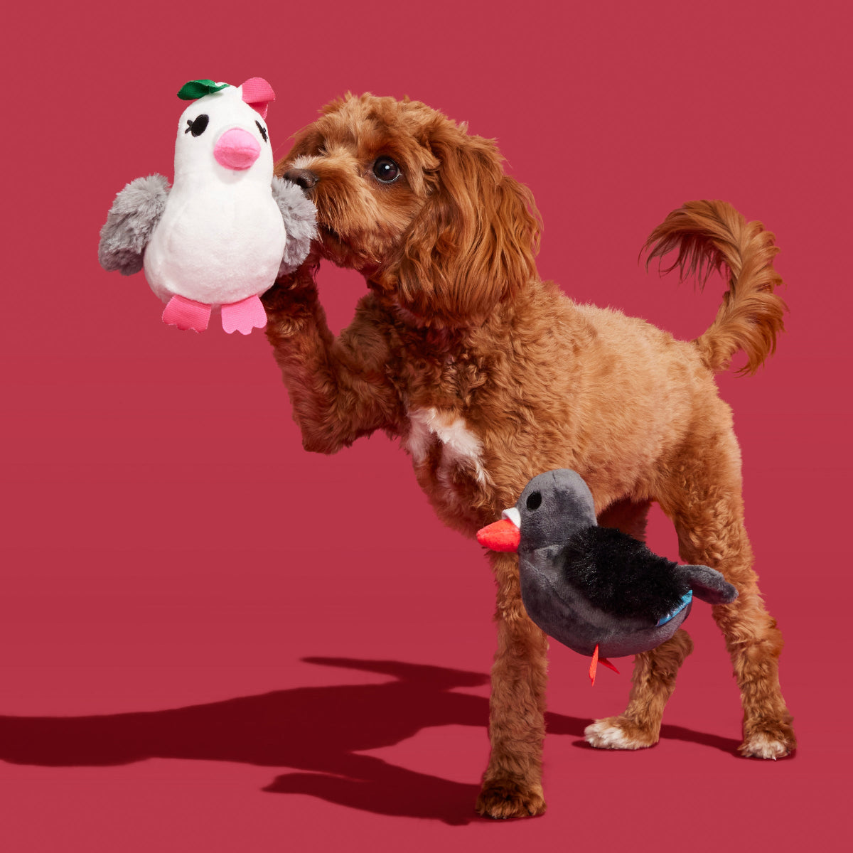 Coo Amore Plush Multi-Part + Tug Dog Toy - Image 5