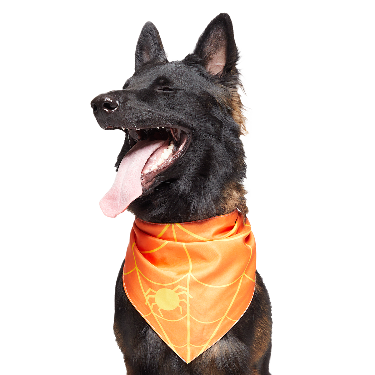 Candy Corn Dog Bandana - Image 2