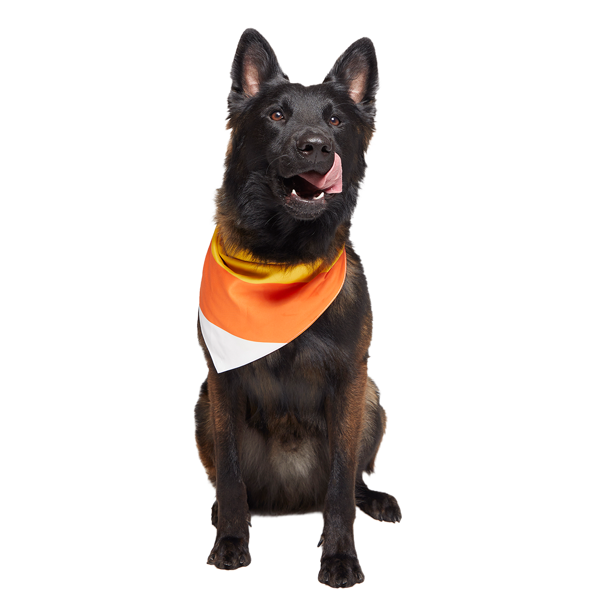 Candy Corn Dog Bandana - Image 5
