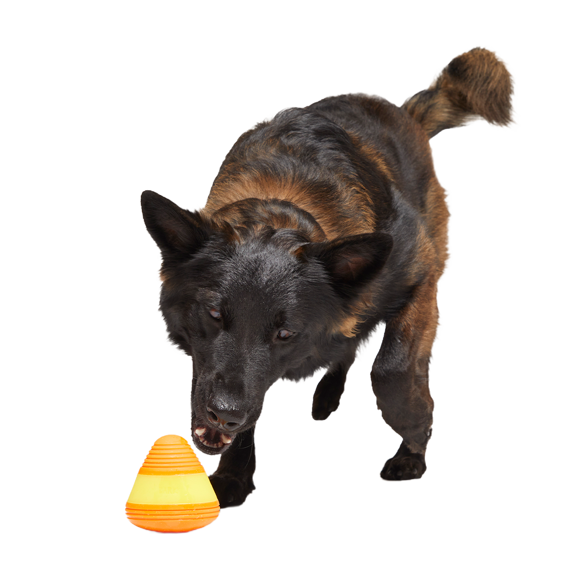 Canine Corn Super Chewer Durable Gnaw + Enrichment Dog Toy - Image 5
