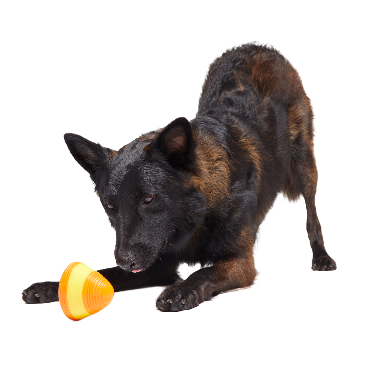 Canine Corn Super Chewer Durable Gnaw + Enrichment Dog Toy - Image 4