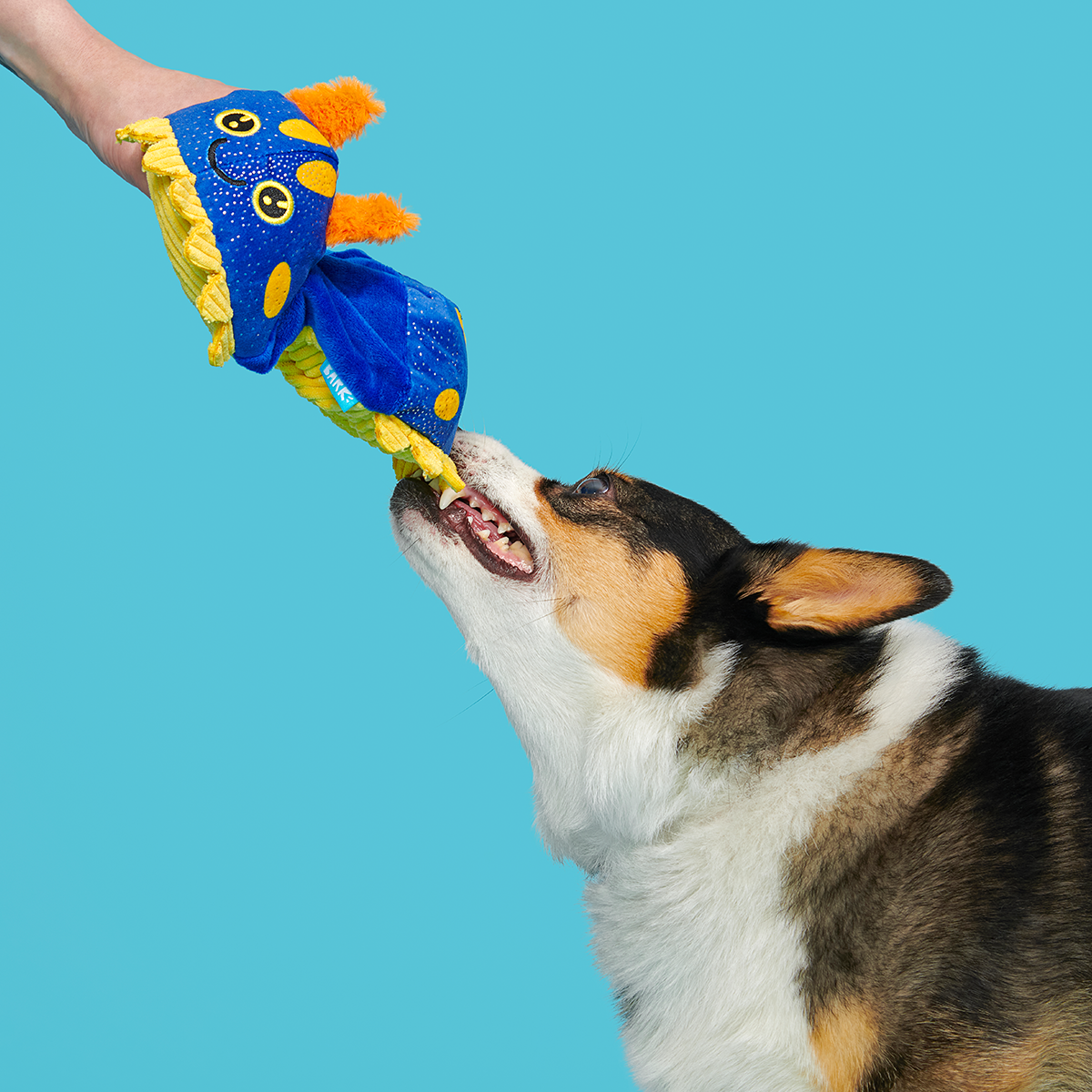 CeCe Slug Plush Tug Dog Toy - Image 3