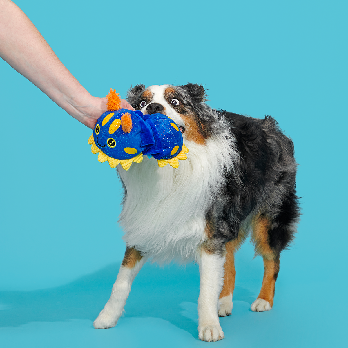 CeCe Slug Plush Tug Dog Toy - Image 4