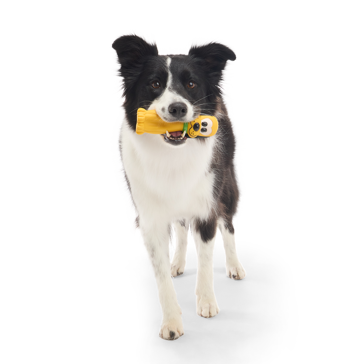 Chew Blue Pluto Super Chewer Durable Gnaw Dog Toy - Image 4
