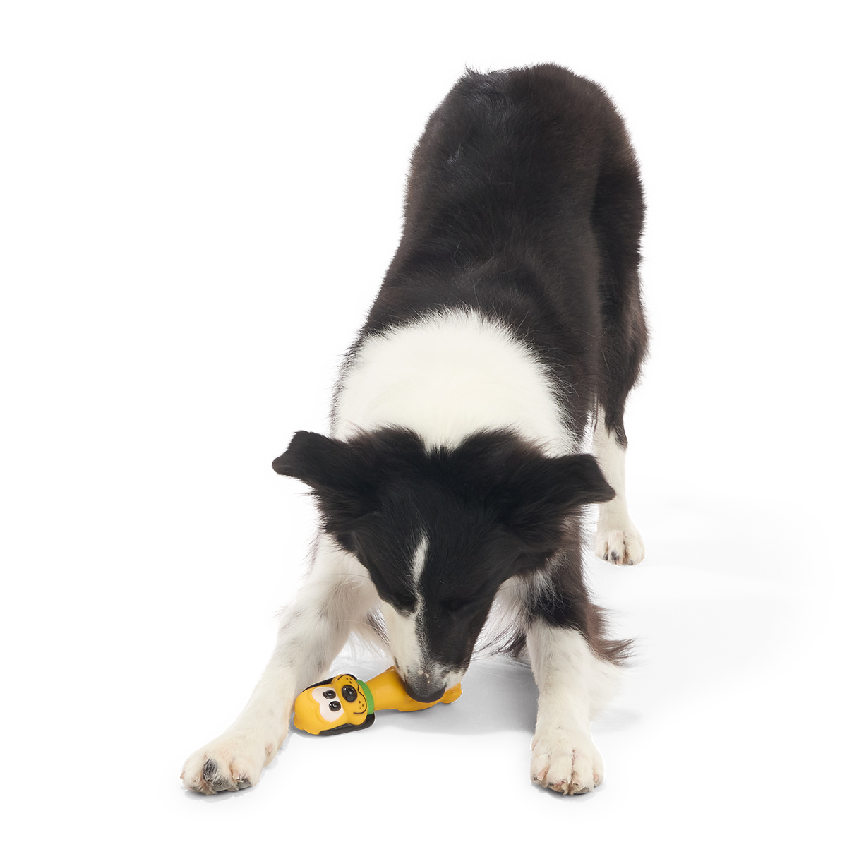 Chew Blue Pluto Super Chewer Durable Gnaw Dog Toy - Image 3