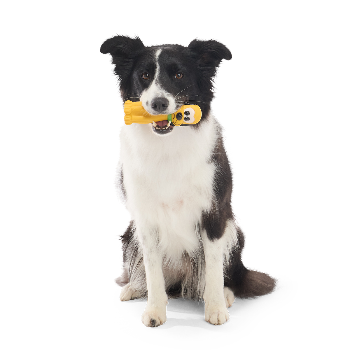 Chew Blue Pluto Super Chewer Durable Gnaw Dog Toy - Image 2