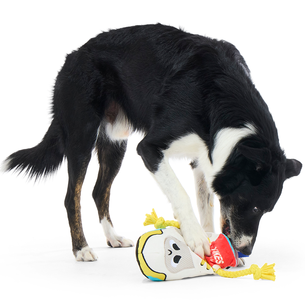 Chew Lace Chelsea Plush Tug Dog Toy - Image 4
