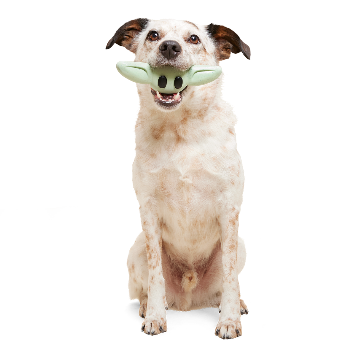 Chew and Chase Grogu™ Super Chewer Durable Gnaw Dog Toy - Image 3