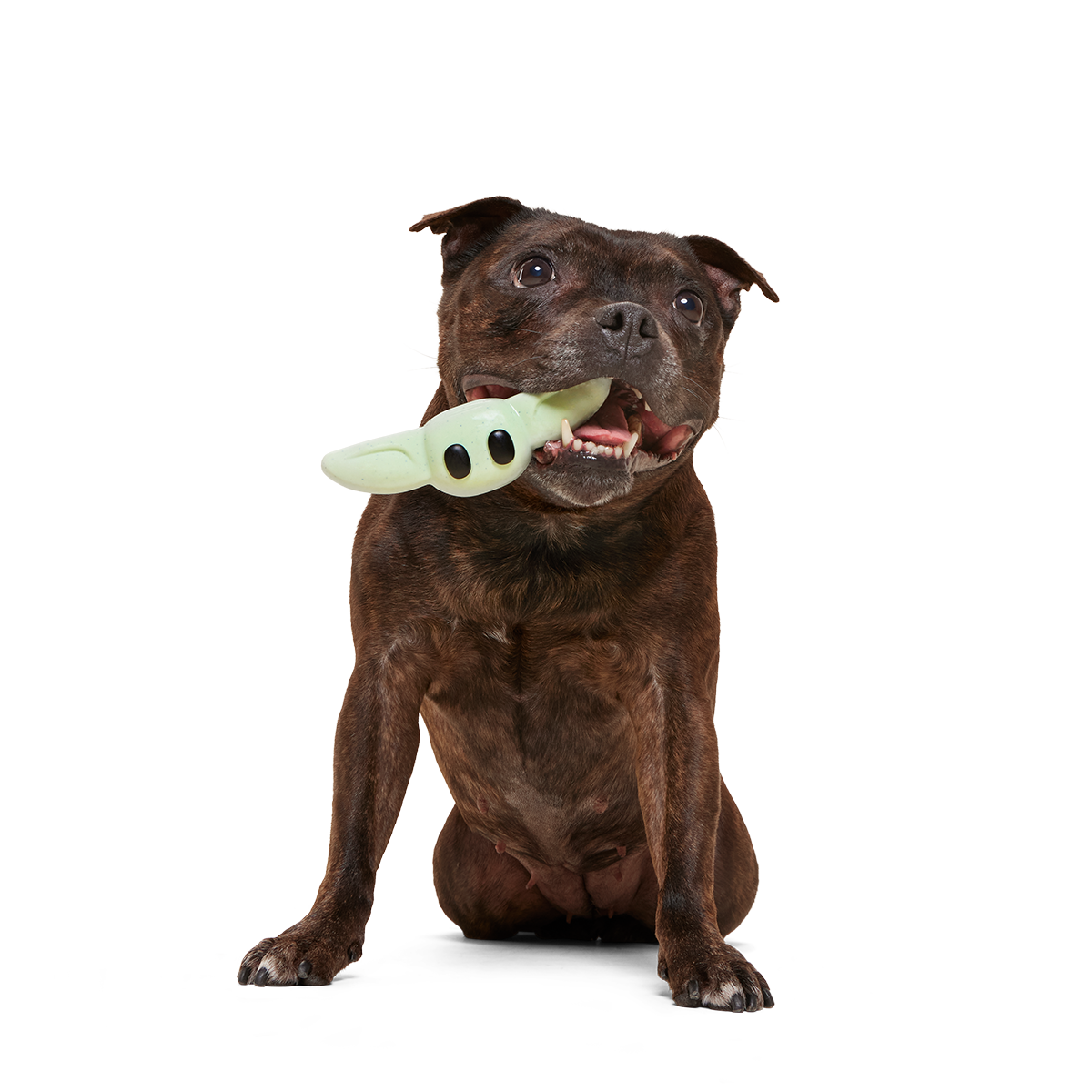 Chew and Chase Grogu™ Super Chewer Durable Gnaw Dog Toy - Image 4