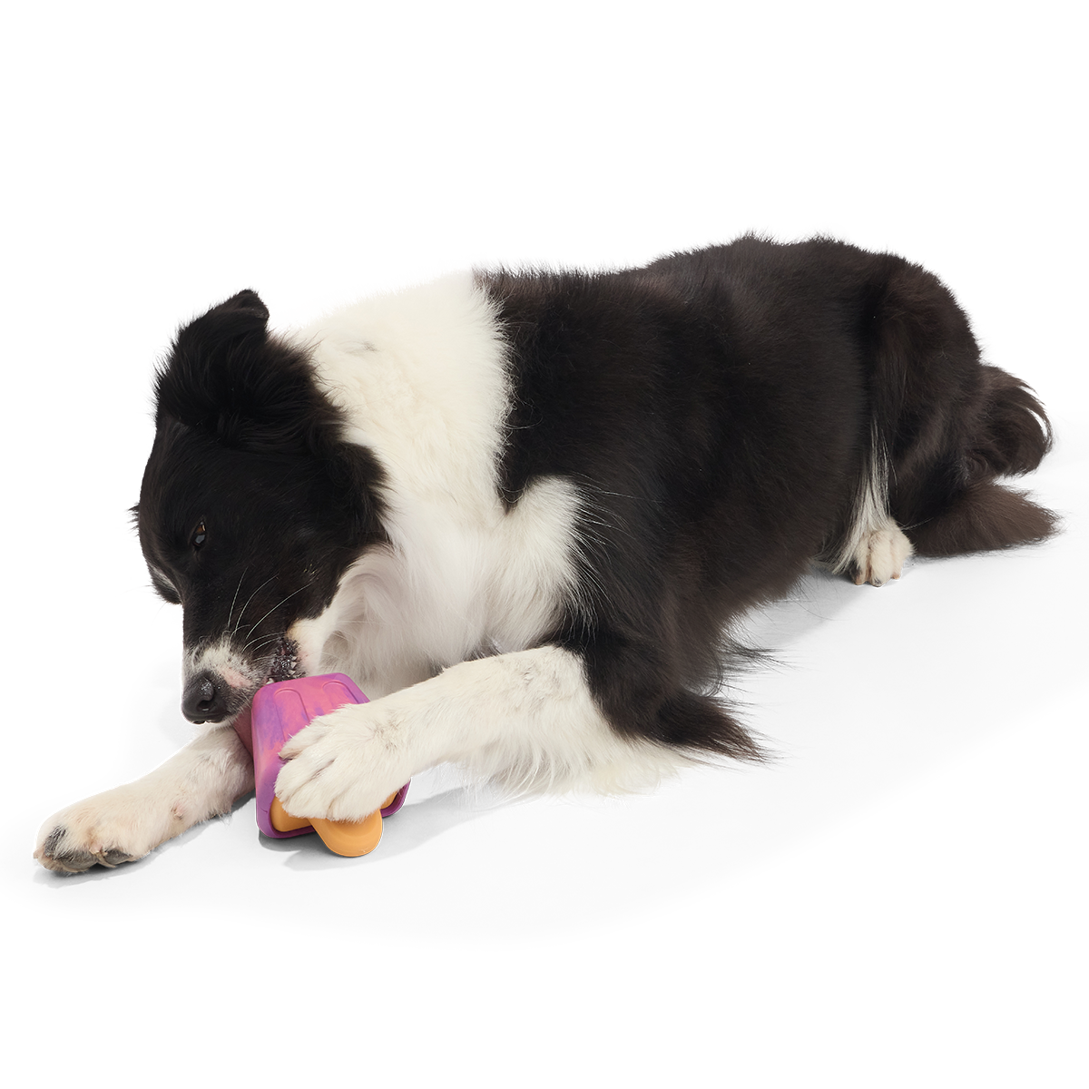 Chill N' Chomp Ice Pop Kit Super Chewer Durable Enrichment Dog Toy - Image 3